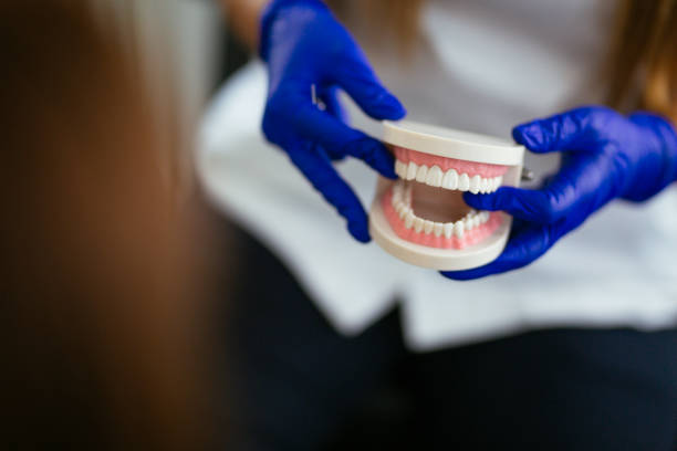 Best Preventive Dentistry  in Lockport Heights, IL